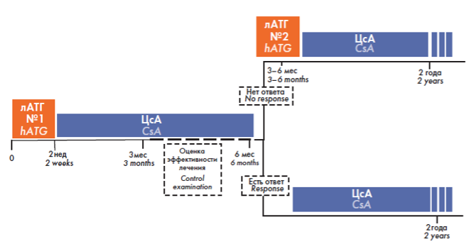 Классический протокол лечения АА комбинированной ИСТ
