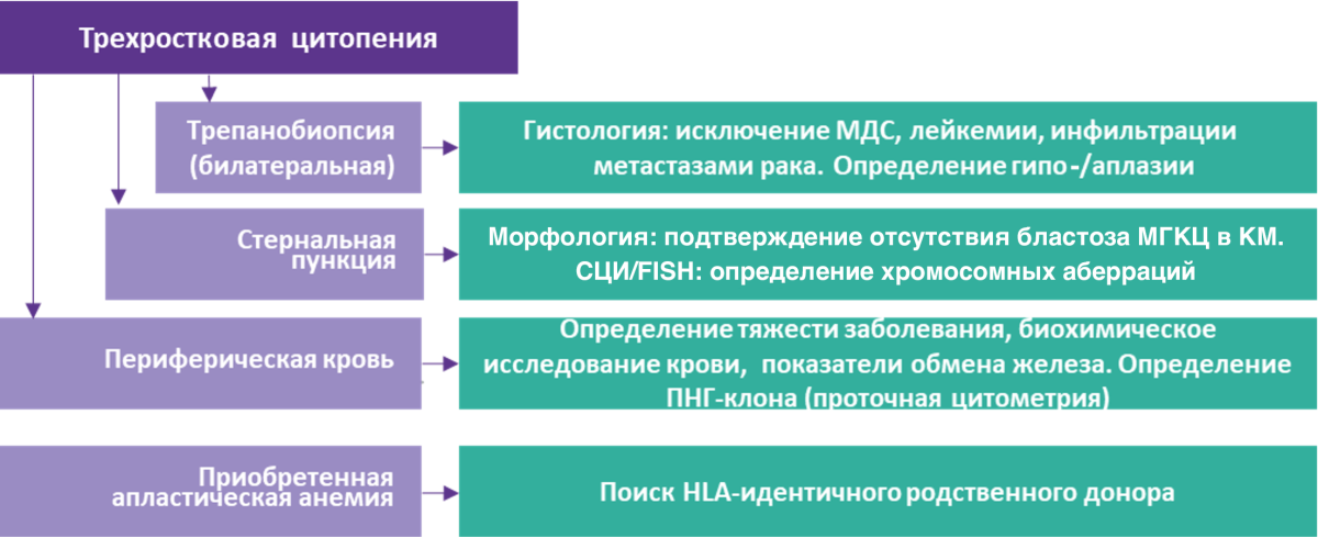 Алгоритм диагностики АА