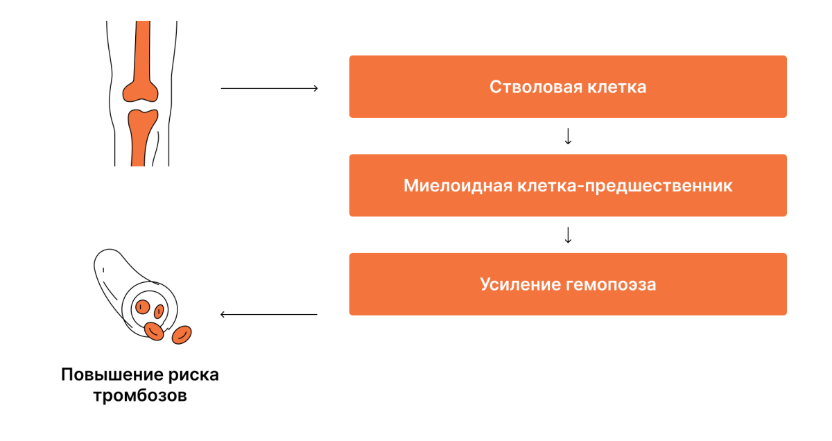 Роль панцитоза в риске тромбозов