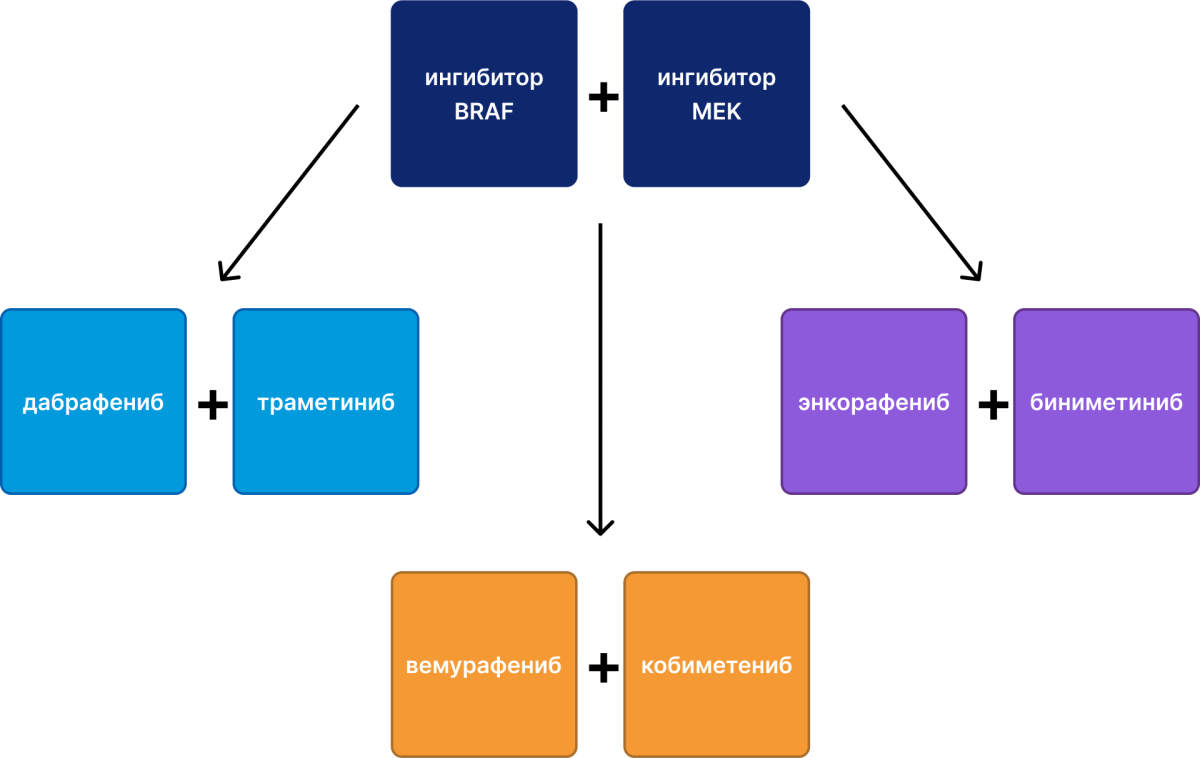 Комбинации ингибиторов BRAF и MEK