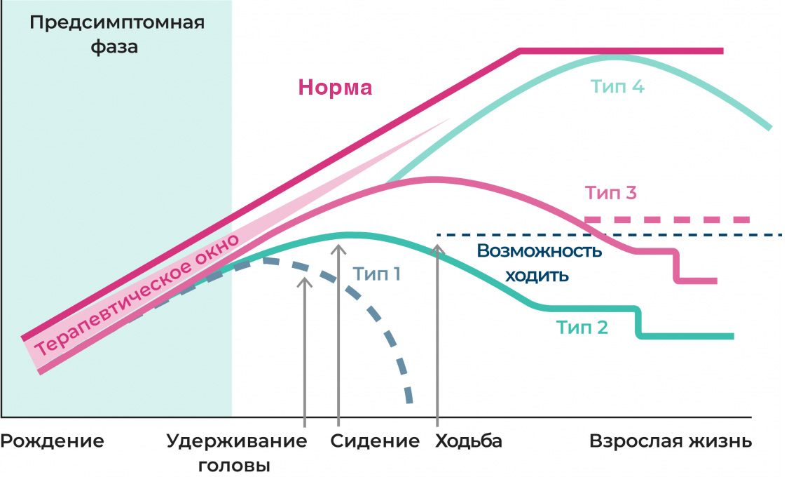 Ранняя диагностика СМА