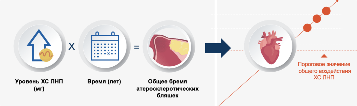 Бремя атеросклеротических бляшек