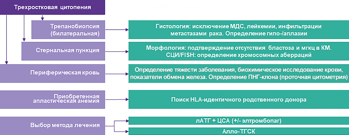 Алгоритм диагностики и выбора метода лечения АА