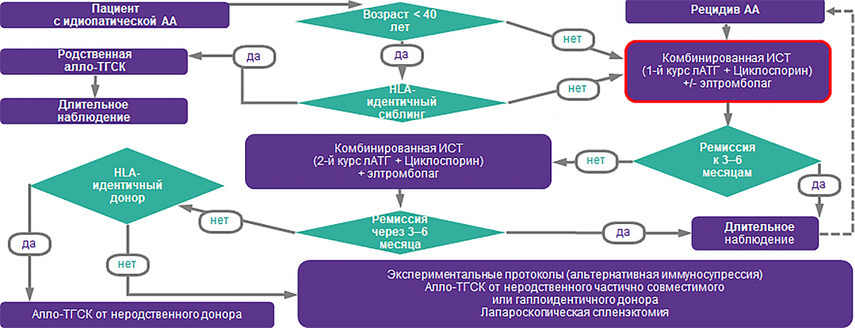 Алгоритм лечения АА