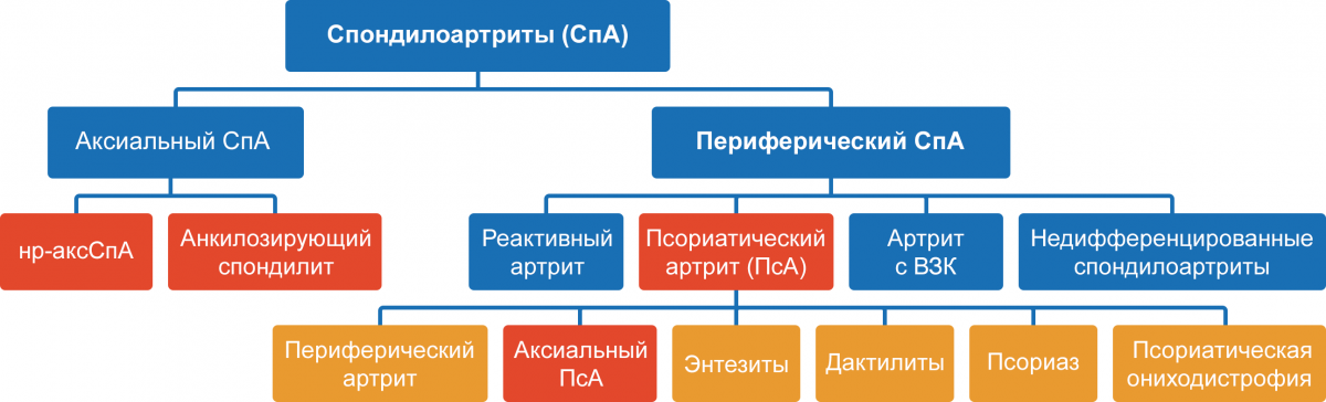 Современная концепция спондилоартритов