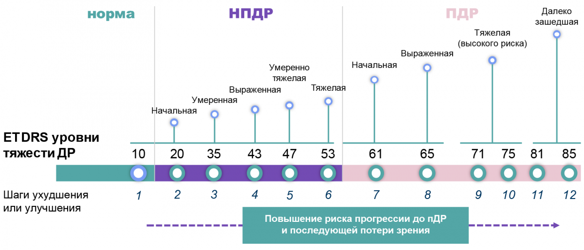 Рисунок 10. Определение степени тяжести ДР по классификации ETDRS Определение степени тяжести ДР по классификации ETDRS
