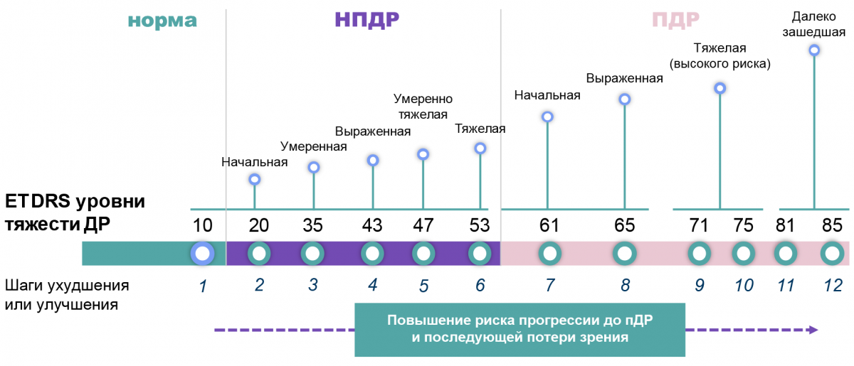 Определение степени тяжести ДР по классификации ETDRS