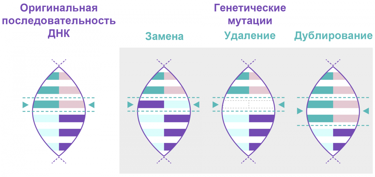 Что такое генетические заболевания?