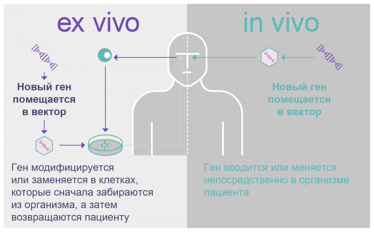 Два способа проведения генной терапии