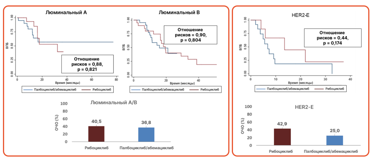 Эффективность рибоциклиба и палбоциклиба для подтипа HER2-E