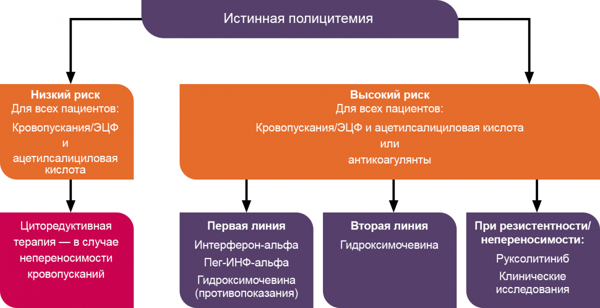 Схема - Алгоритм терапии ИП Алгоритм терапии истинной полицитемии