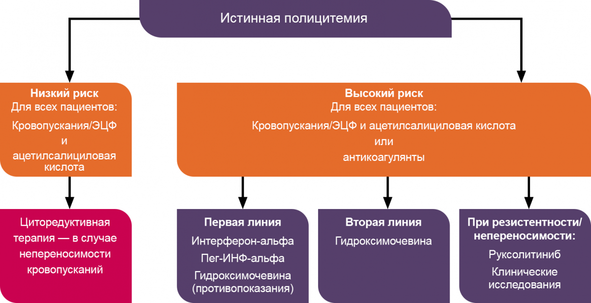 Алгоритм терапии истинной полицитемии