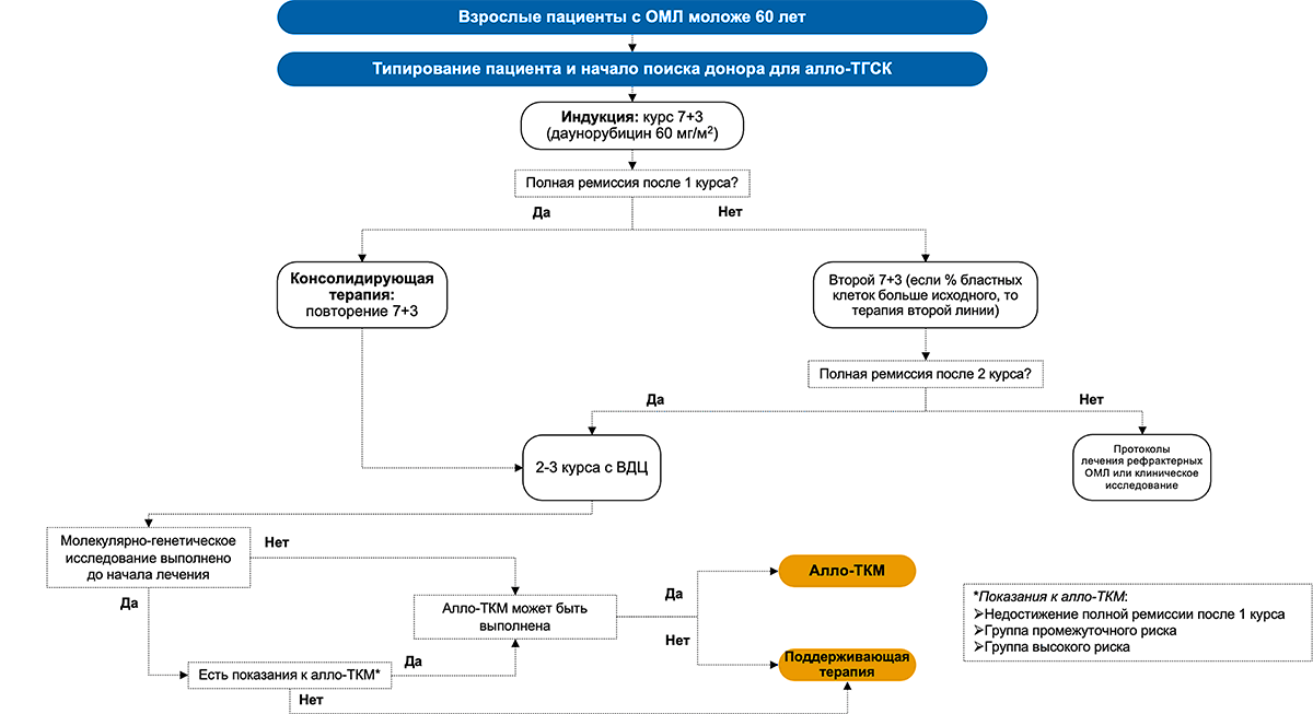 Схема лечения ОМЛ у пациентов возрастом до 60 лет