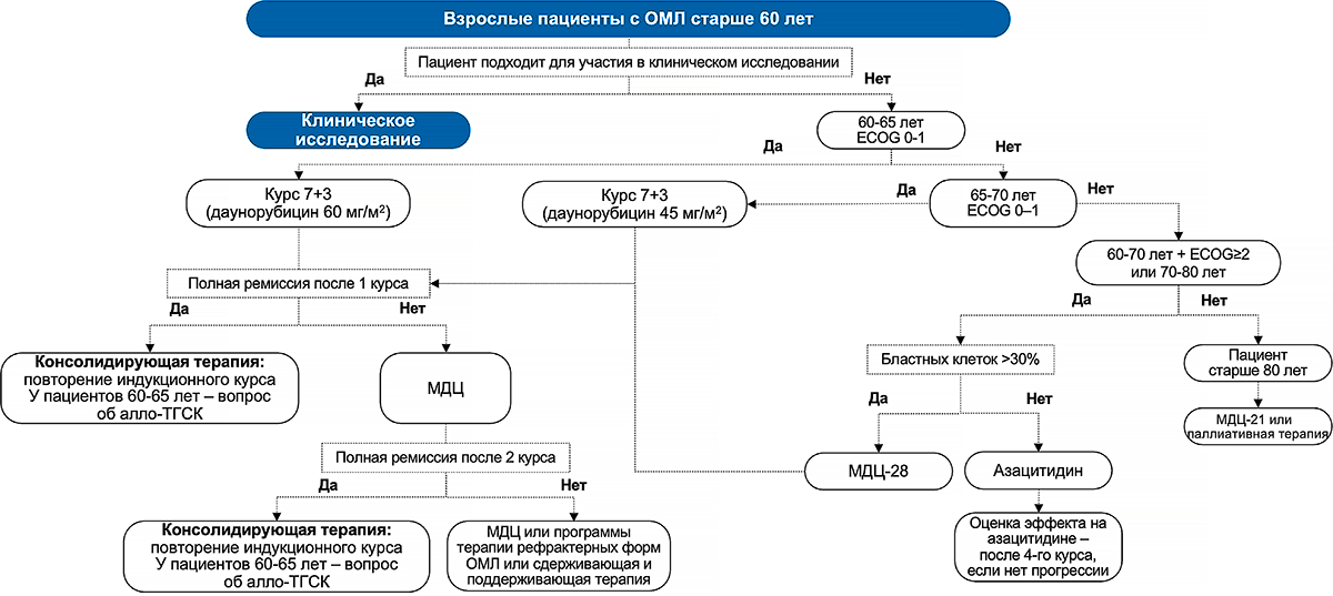 Схема лечения ОМЛ у пациентов старше 60 лет