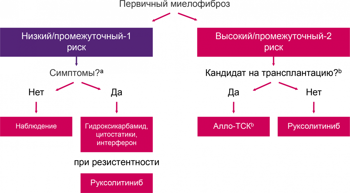 Схема - Алгоритм лечения первичного миелофиброза Алгоритм лечения первичного миелофиброза
