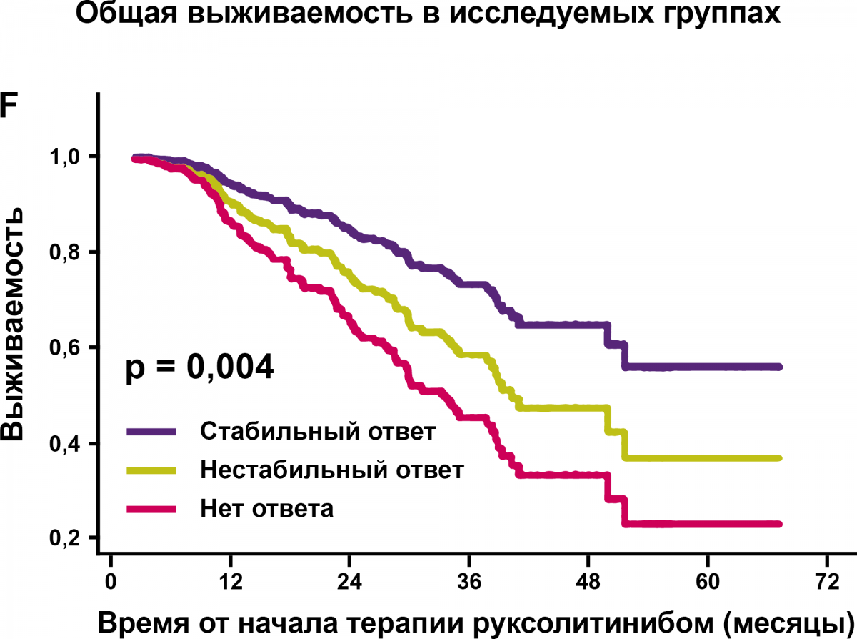 Общая выживаемость в исследуемых группах