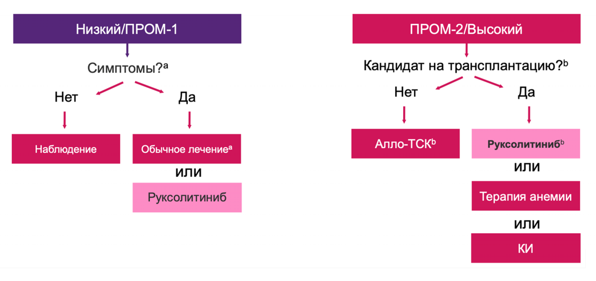 Рекомендации ESMO 1 часть