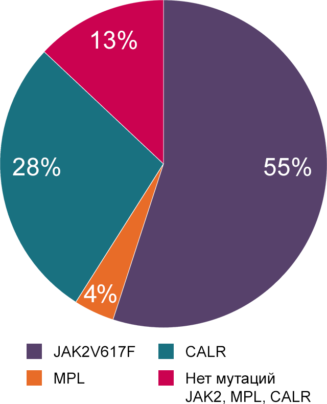 Эссенциальная тромбоцитопения распределение мутаций