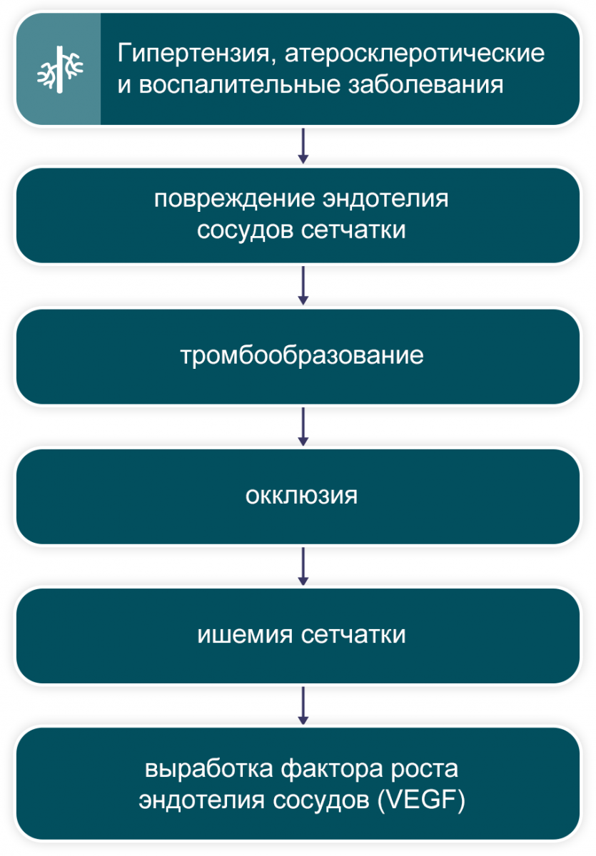 Рисунок 2. Патофизиологические процессы, приводящие к ОВС Патофизиологические процессы, приводящие к ОВС