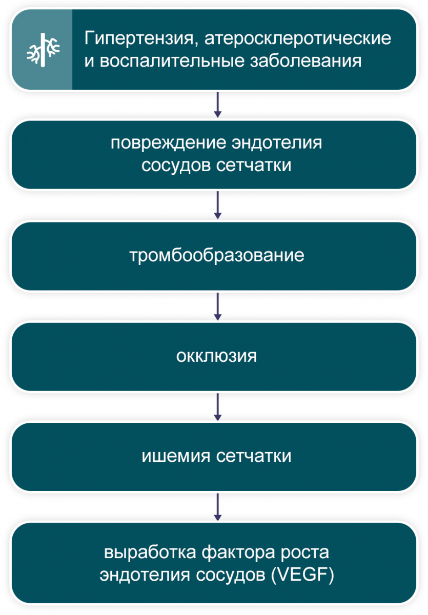 Патофизиологические процессы, приводящие к ОВС