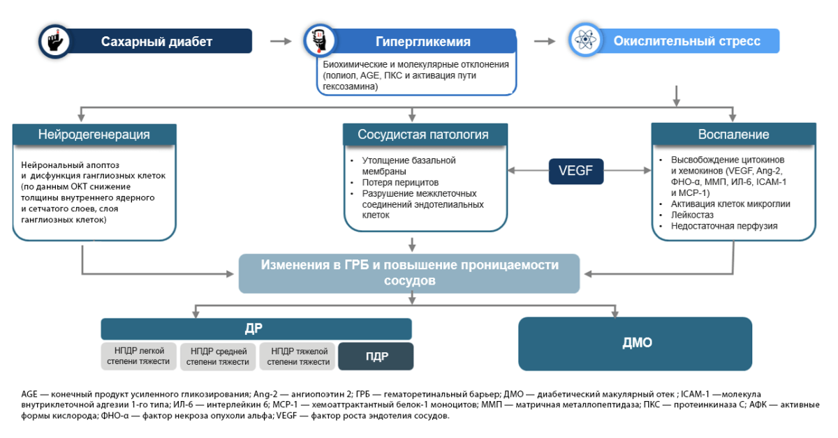 Рисунок 1. Организменные и клеточные изменения в патофизиологии ДР Организменные и клеточные изменения в патофизиологии ДР