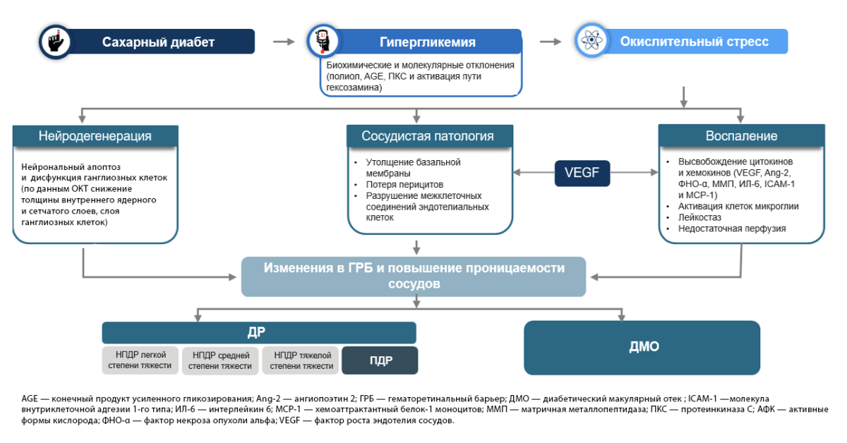 Организменные и клеточные изменения в патофизиологии ДР