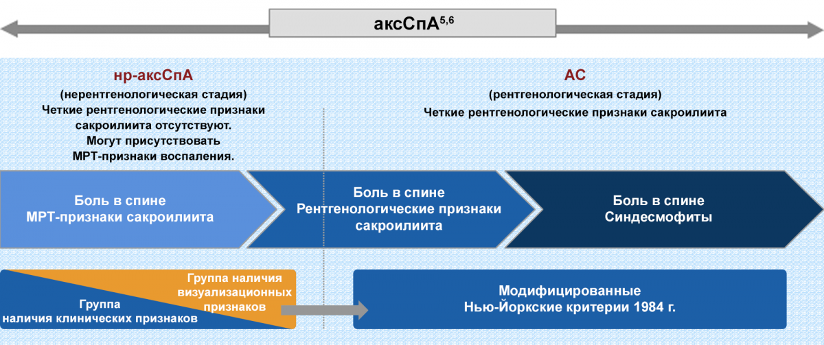 Спектр аксиального спондилоартрита (аксСпА)