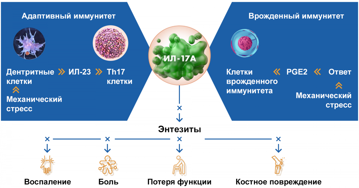 Схема - ИЛ-17А ИЛ-17А