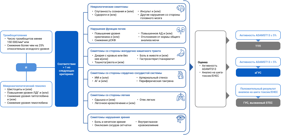Краткий алгоритм диагностики аГУС исключение других причин ТМА.png