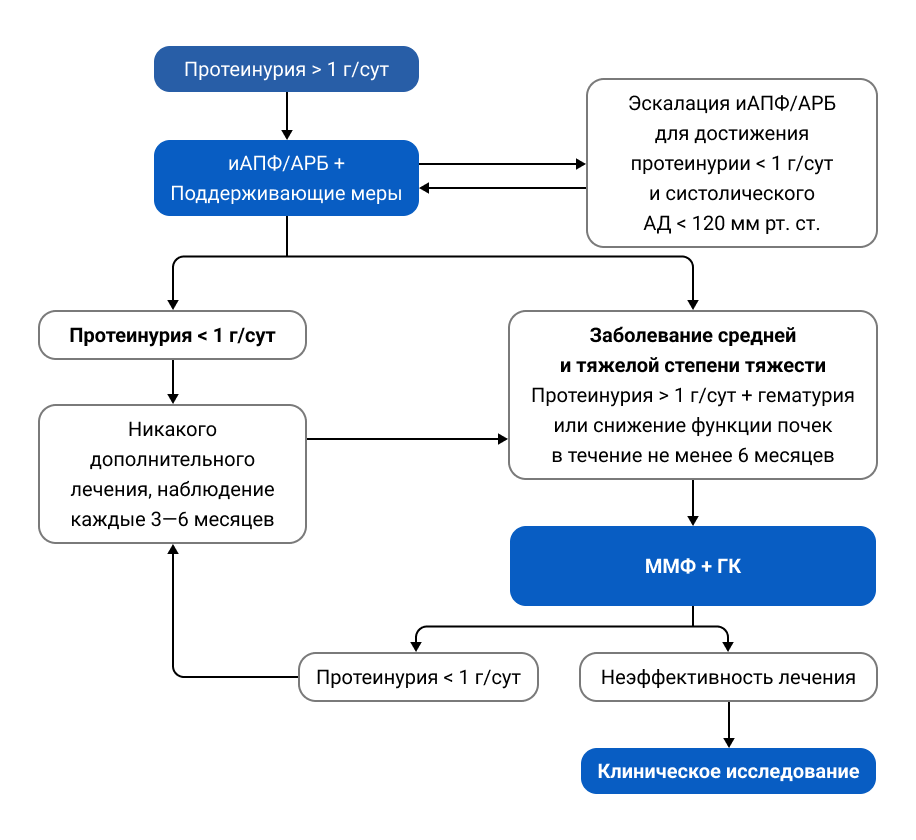 Краткий алгоритм лечения IgAN (рекомендации KDIGO)