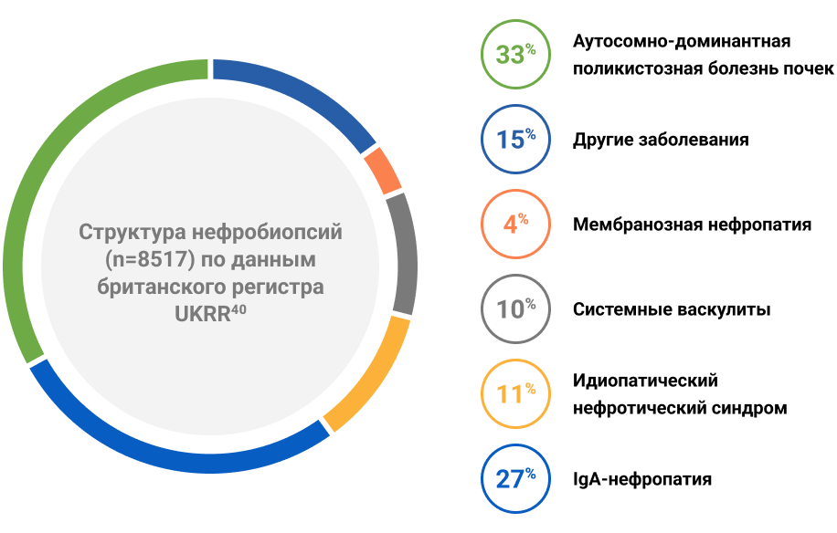 Структура нефробиопсий