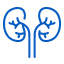 1-kidneys-icon.png