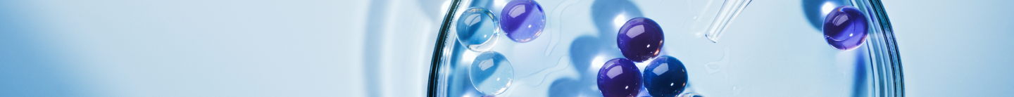 202826-banner.png