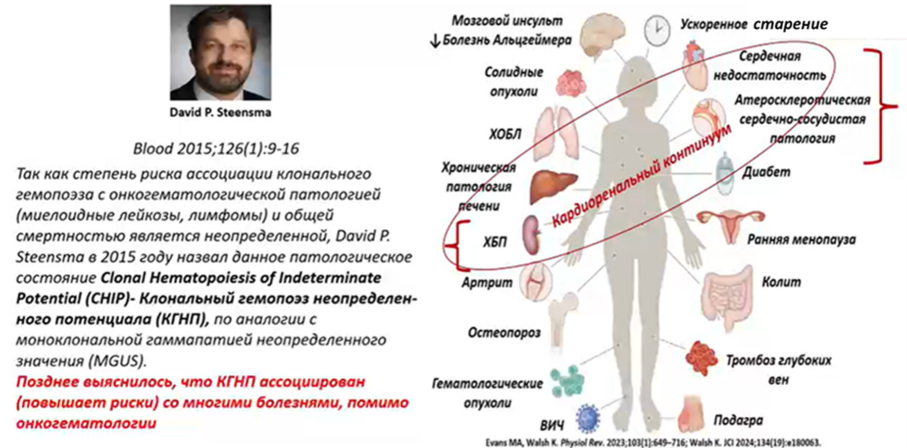 Рисунок 4. Клональный гемопоэз неопределенного потенциала
