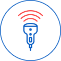 Multiparametric Icon