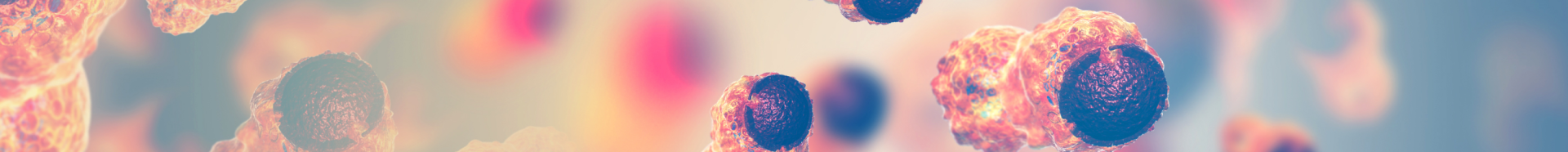 banner.png