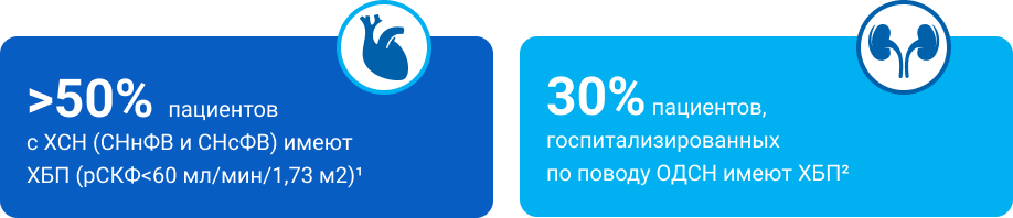 >50% пациентов с ХСН (СНнФВ и СНсФВ) имеют ХБП (рСКФ<60 мл/мин/1,73 м2)1