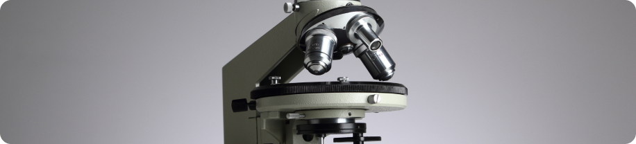 Световая микроскопия на современном этапе предполагает исследование почечной ткани после окрашивания различными методиками