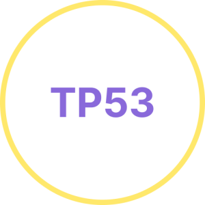 TP53