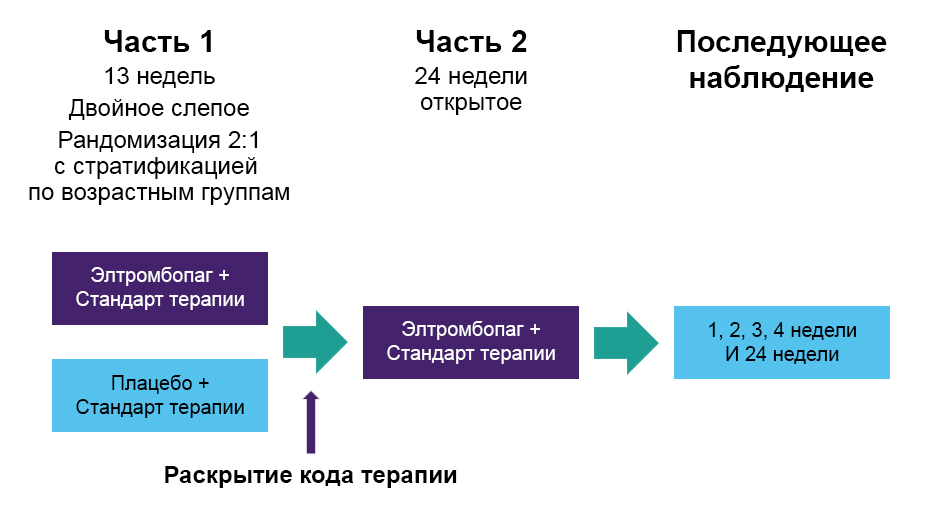 Дизайн исследования PETIT2